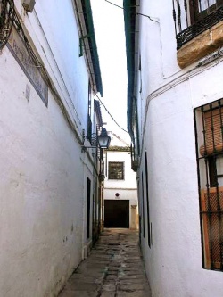 CalleJRomerodeTorres02.jpg