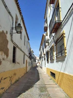 300px-CalleHinojo01.jpg