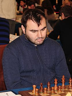 Shakhriyar Mamedyarov 2013(2).jpg