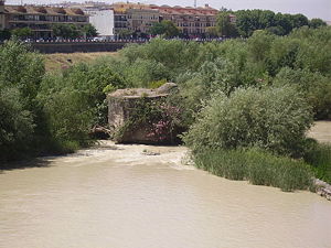 Molino de Enmedio.JPG