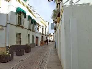 CalleCardenalGonzalez02.jpg