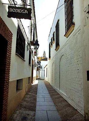 CalledelaLuna01.jpg