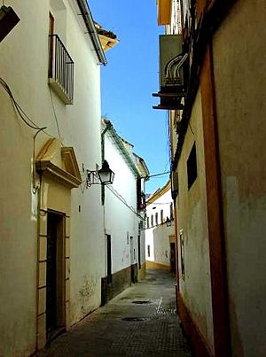 CalleJuandeMena01.jpg